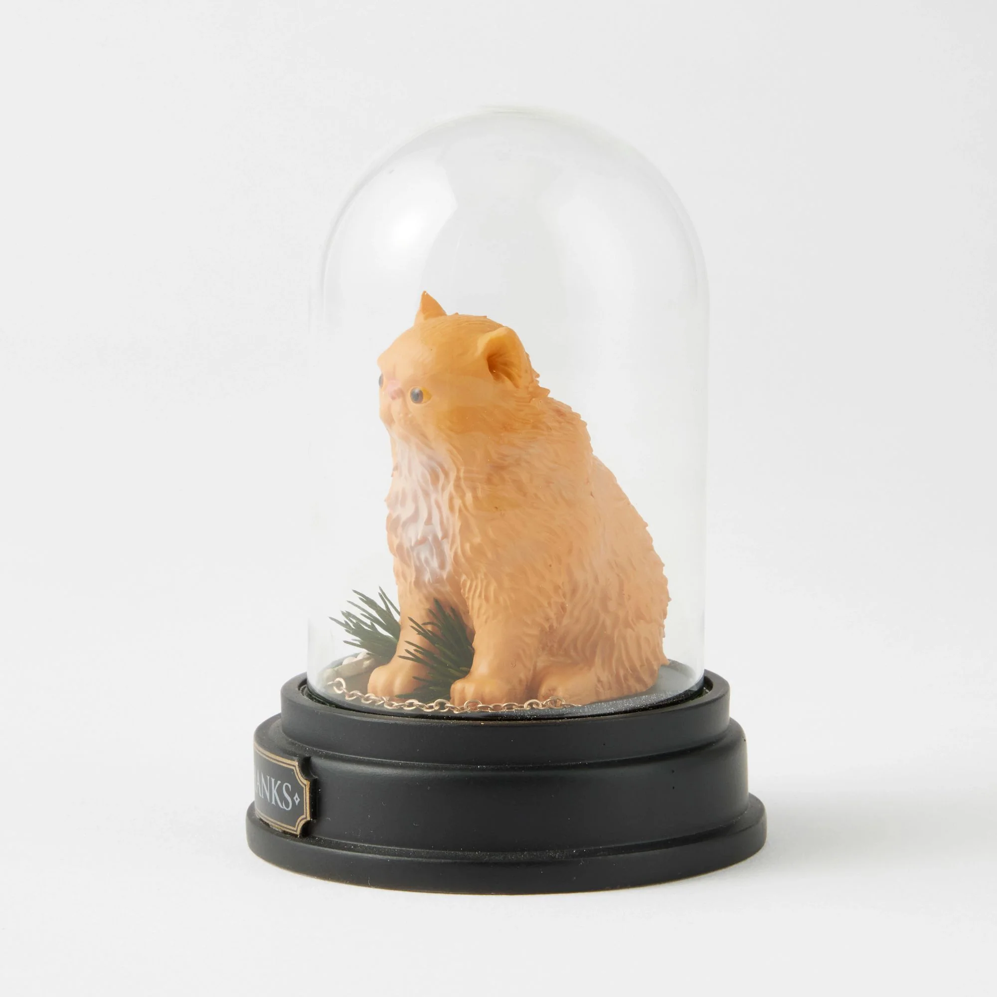 Crookshanks Curiosity Cloche - Wizarding World of Harry Potter - Image 4